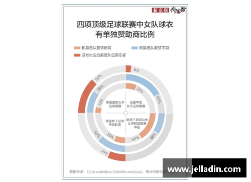 云南新亚洲体育明星崛起的历程与影响分析