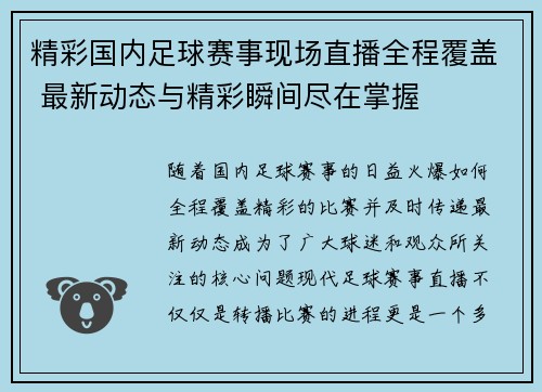 精彩国内足球赛事现场直播全程覆盖 最新动态与精彩瞬间尽在掌握